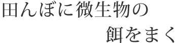 田んぼに微生物の餌をまく